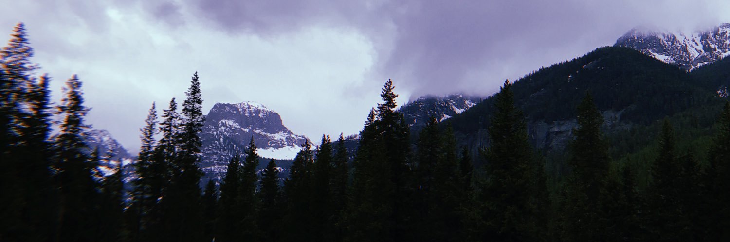 jackrosenthal3's profile banner image