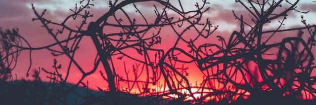 destroyy_me's profile banner image