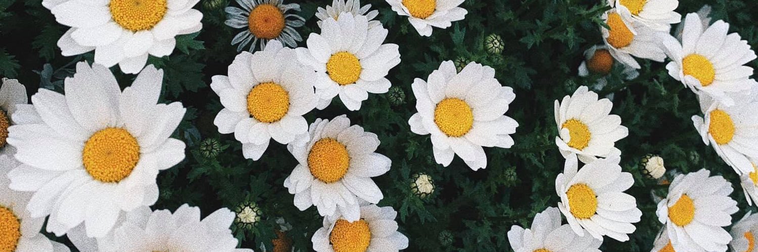LilPloy_'s profile banner image