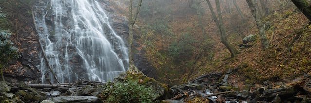 Maxwell Collins banner