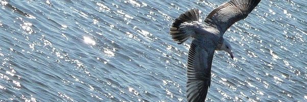 MontseInc's profile banner image