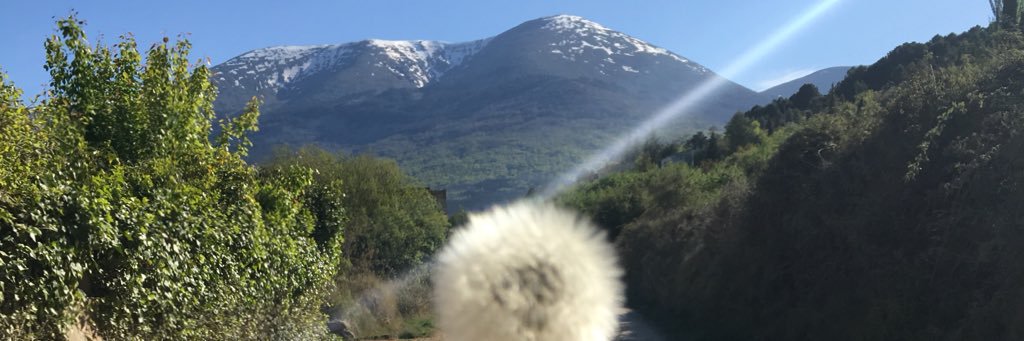 ronimoni6's profile banner image