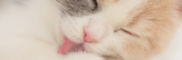 RirinDevianeR's profile banner image