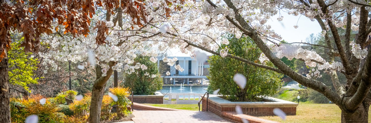 Clemson University Profile Banner