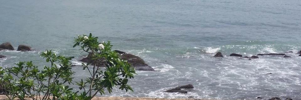 Dushanthi Fernando banner