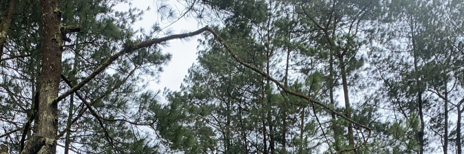 Klaras Gedhang banner