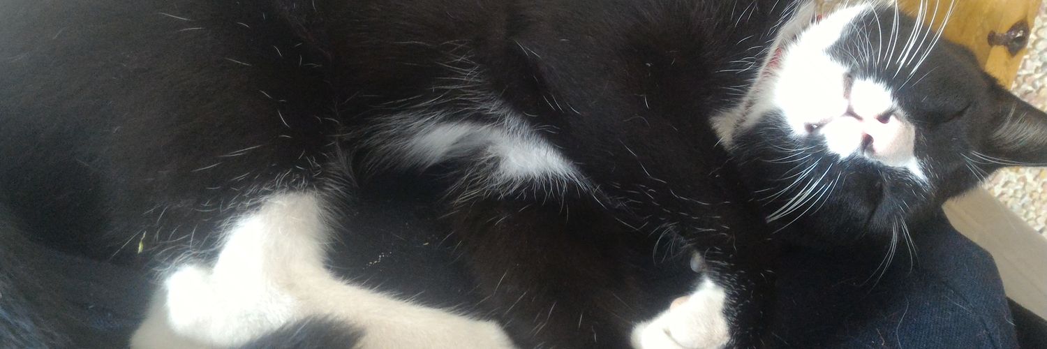 godes00353's profile banner image