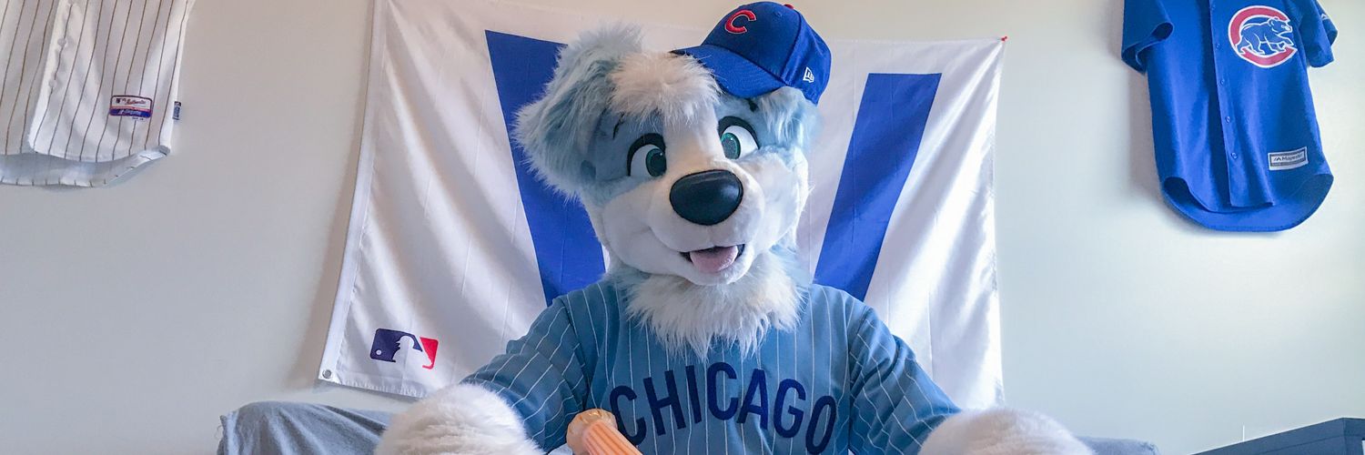 Cinder Collie banner