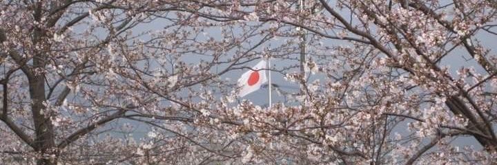 emiyan4444's profile banner image