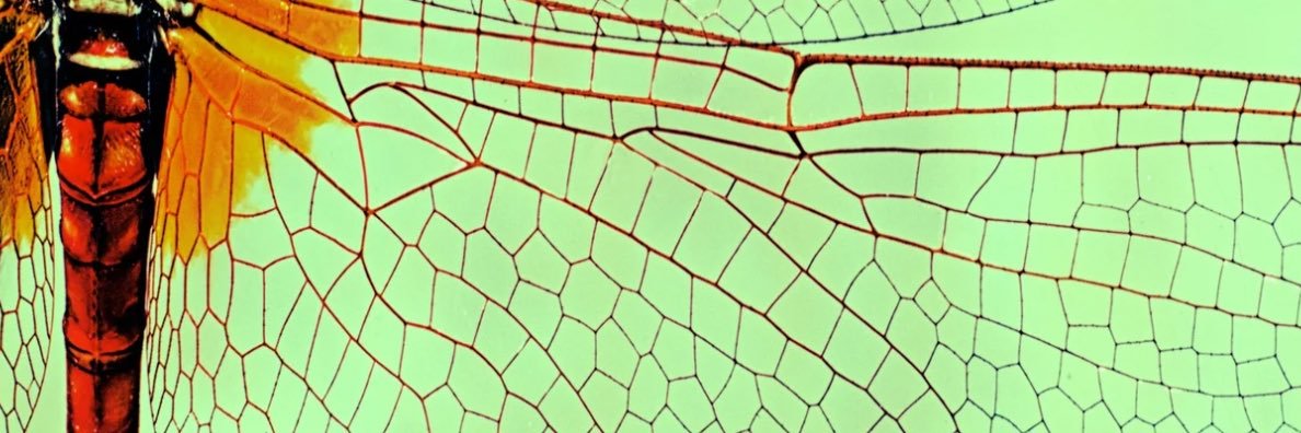 tracyemrick's profile banner image