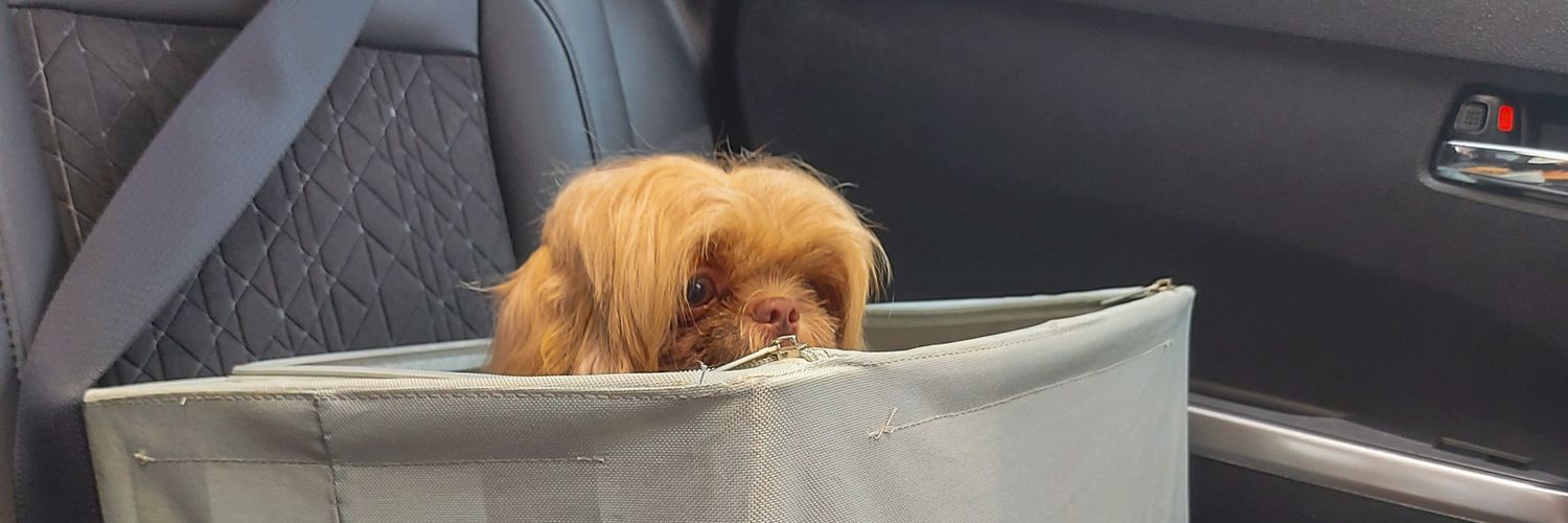 StephnUniverse's profile banner image