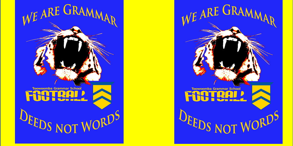 TGSFball's profile banner image