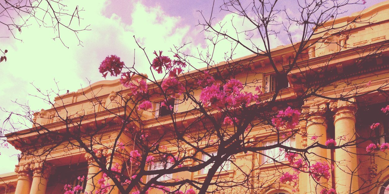 priscilascab's profile banner image