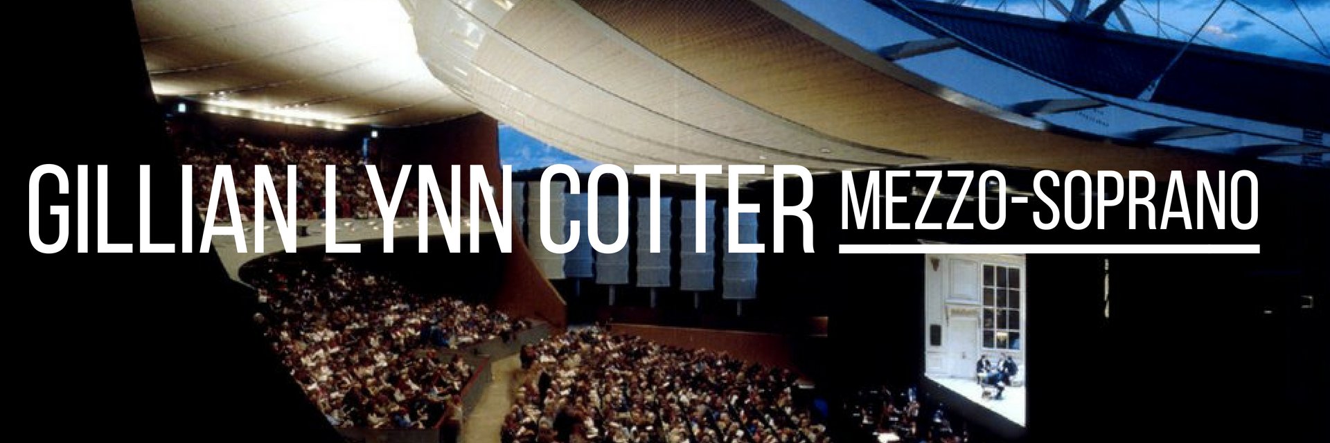 GillianLCotter's profile banner image
