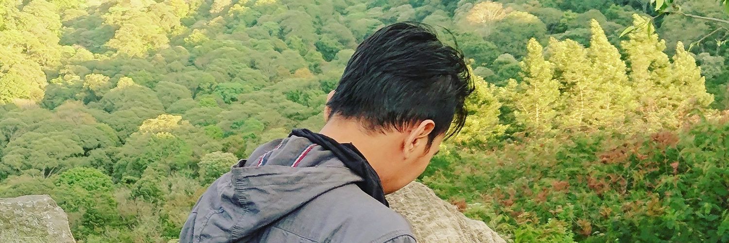 frandisoft's profile banner image