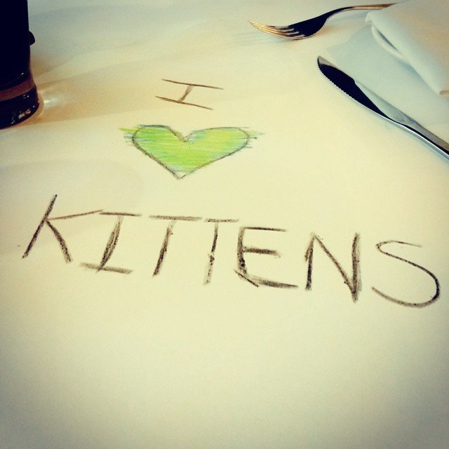 TeamKatBBM's profile banner image