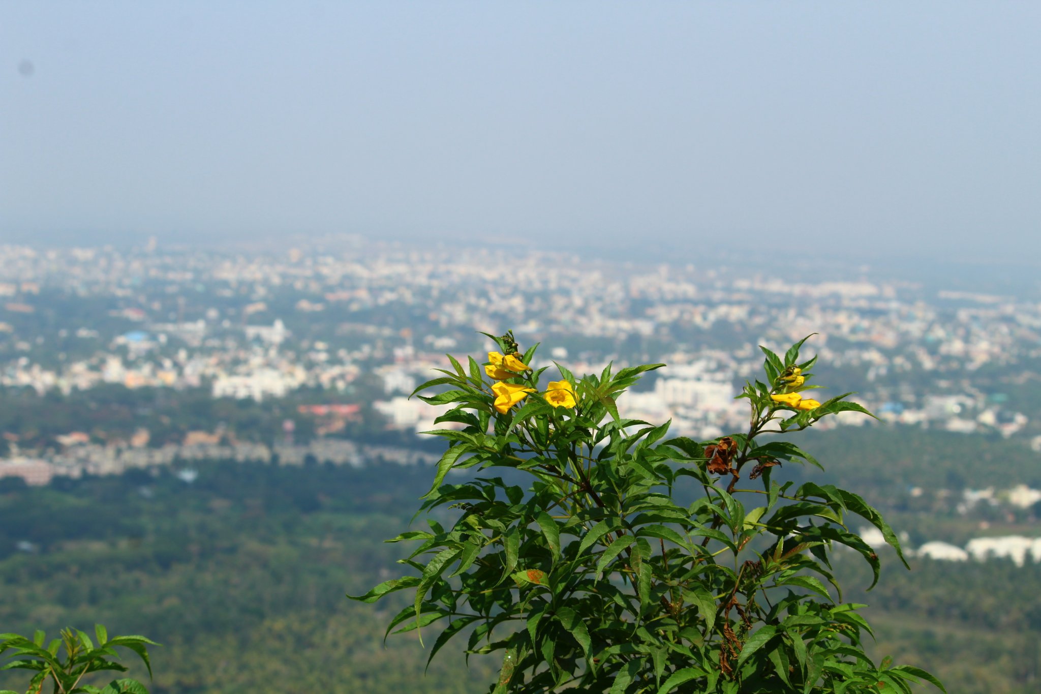 MsRupa_B's profile banner image