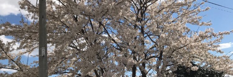 nosuke1028's profile banner image