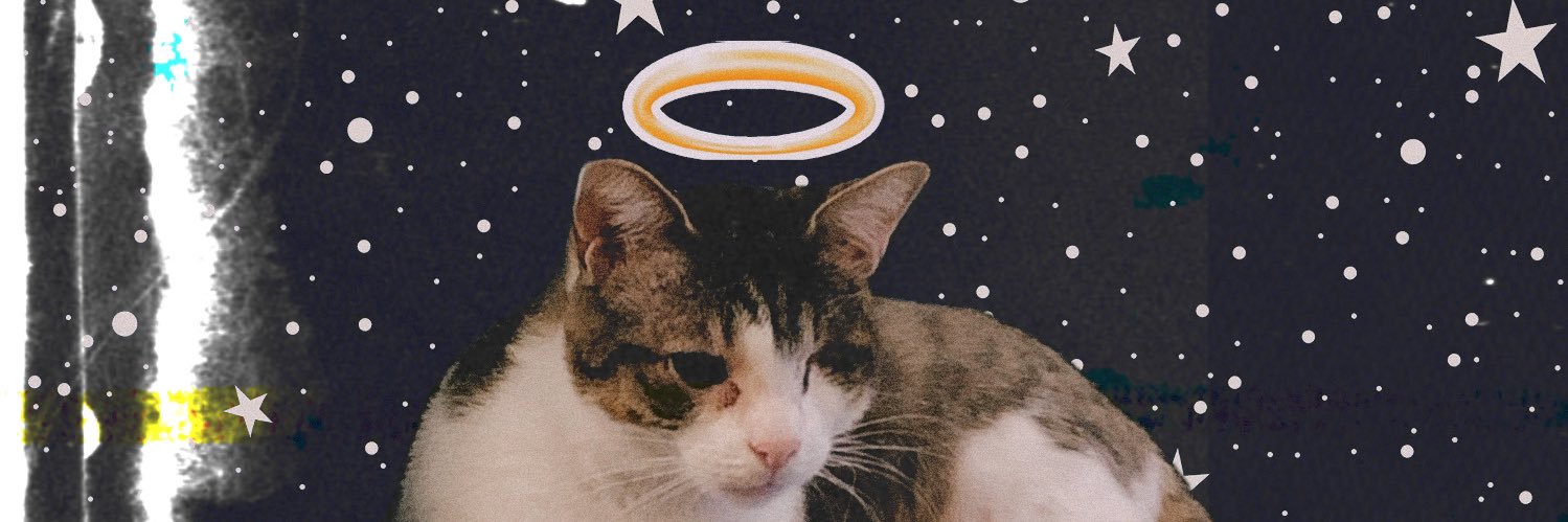 honkwiggleton's profile banner image
