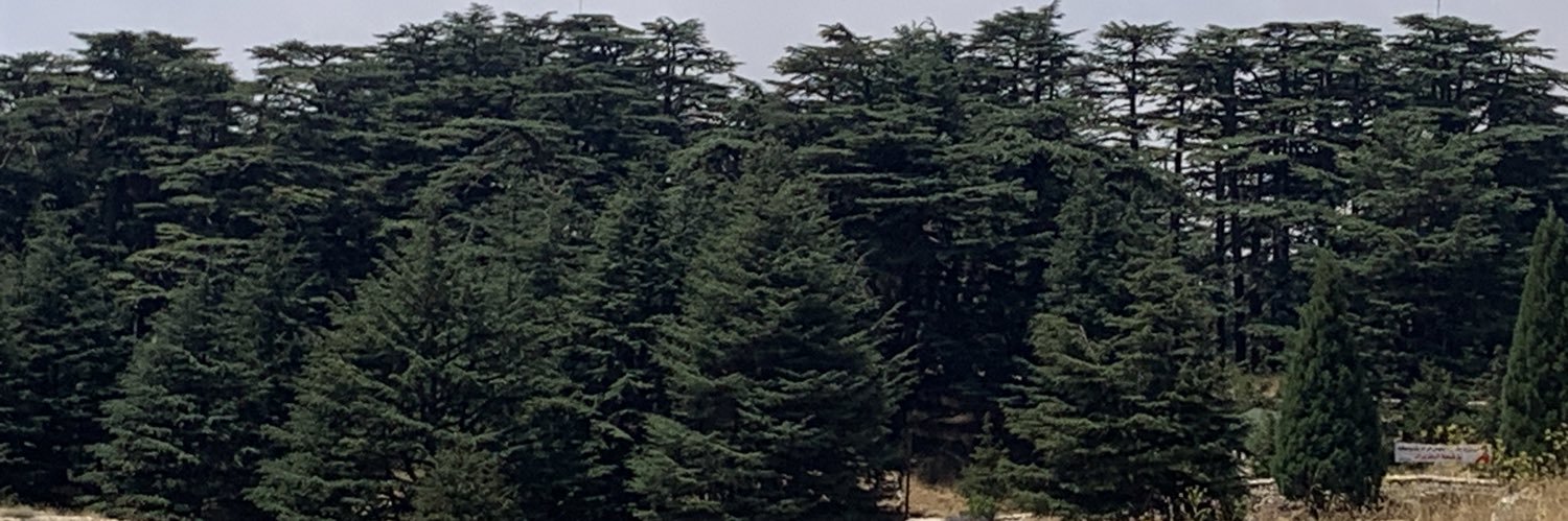 TcsFouad's profile banner image