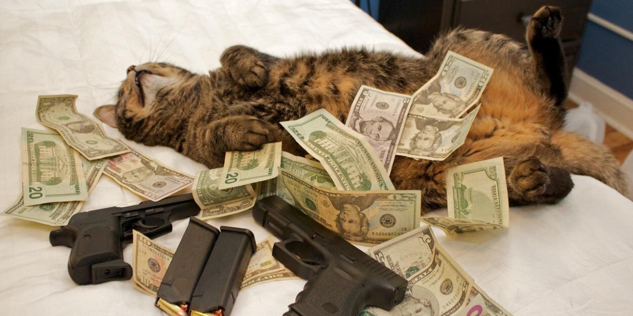 robertflay96's profile banner image