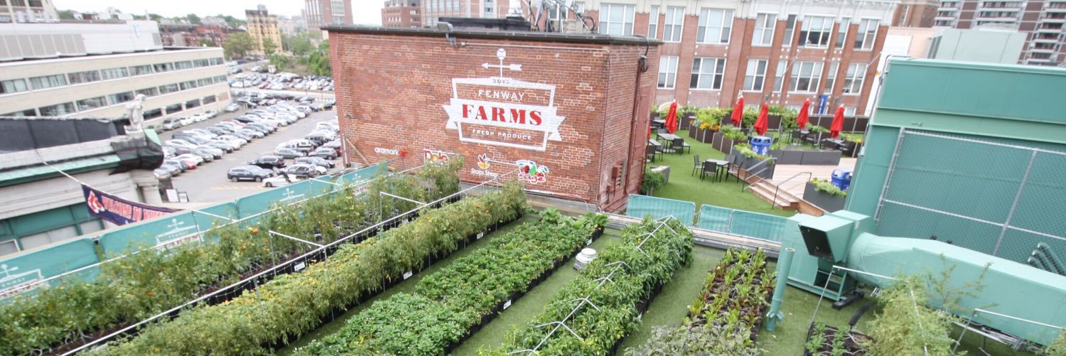 Recover Green Roofs banner