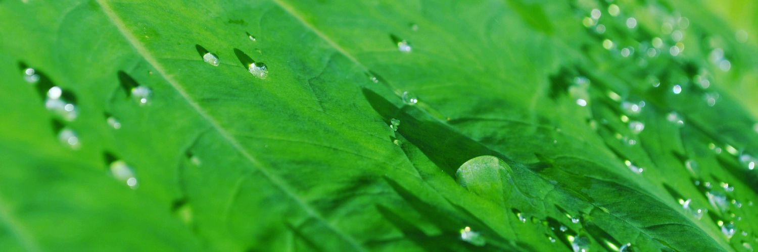 BimoMagelang's profile banner image