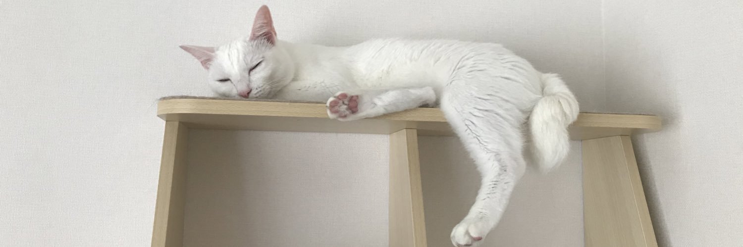 nya_bunya's profile banner image