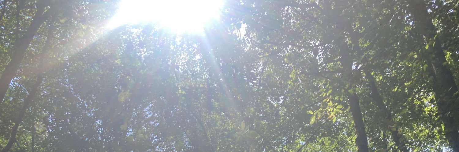 IndieScent's profile banner image