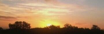 vie banner