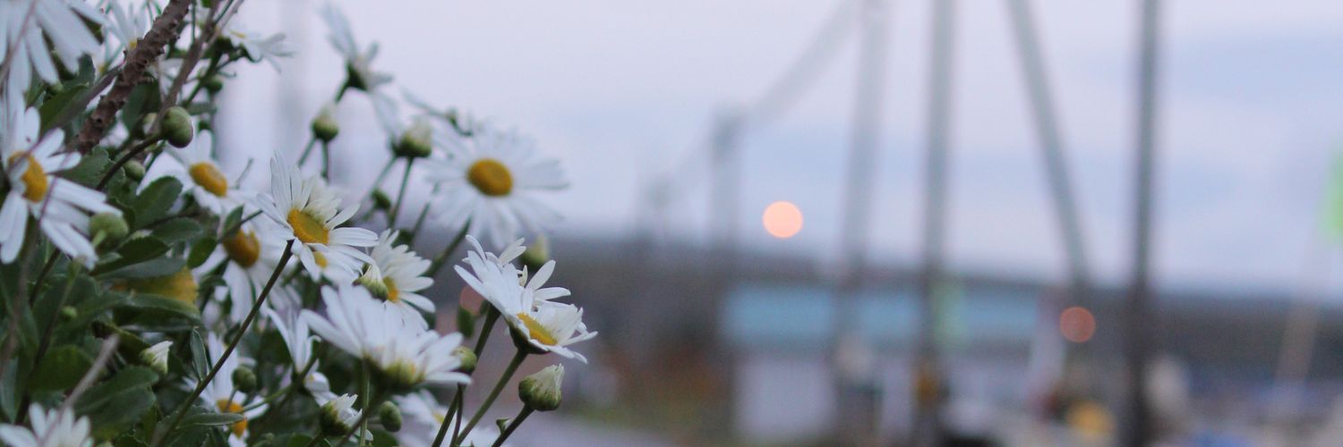elm~ 🐹🍀 || kinda hiat. banner
