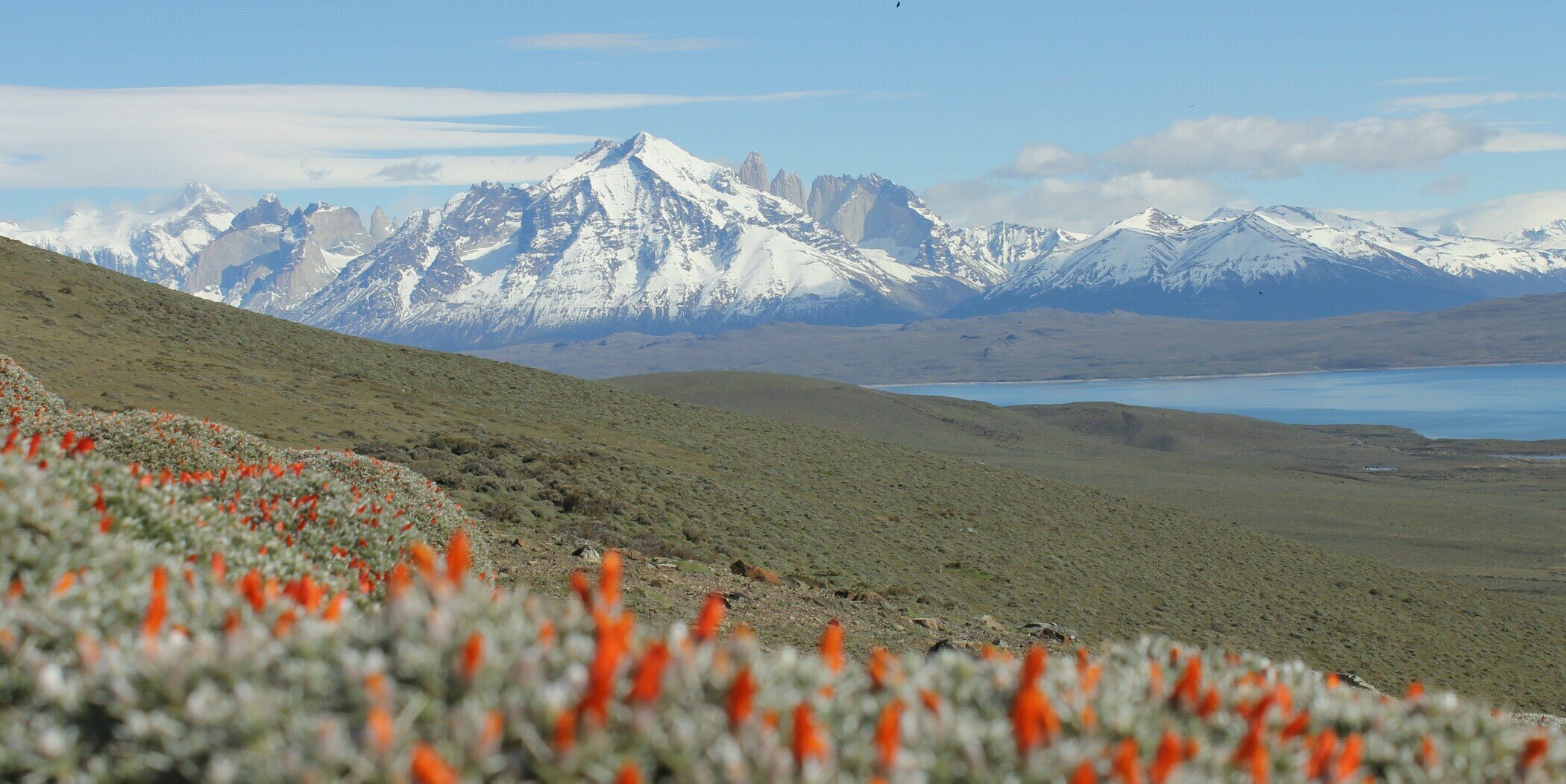 BetoPucon's profile banner image