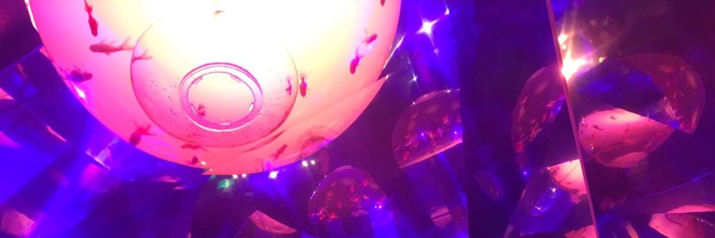 yucha_n23's profile banner image