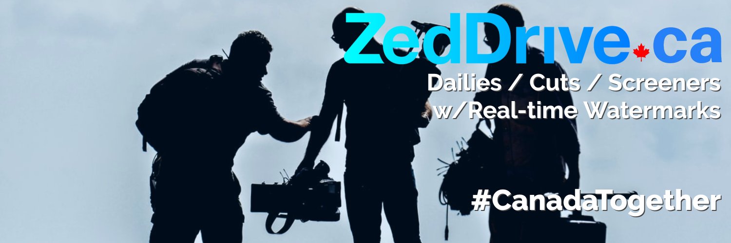 ZedDrive.ca banner