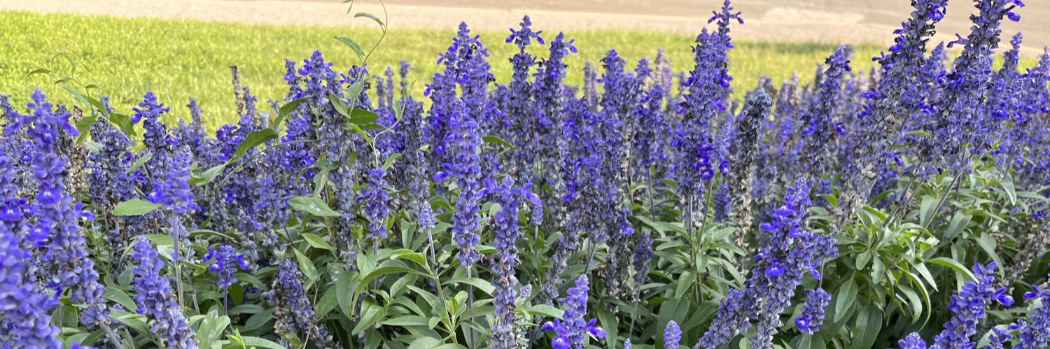 Natalia Suárez banner