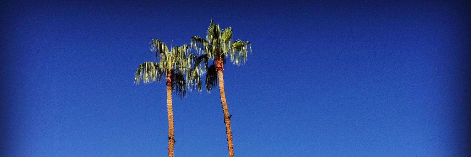 loubear5's profile banner image