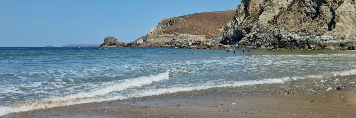 Alexandria Allison banner