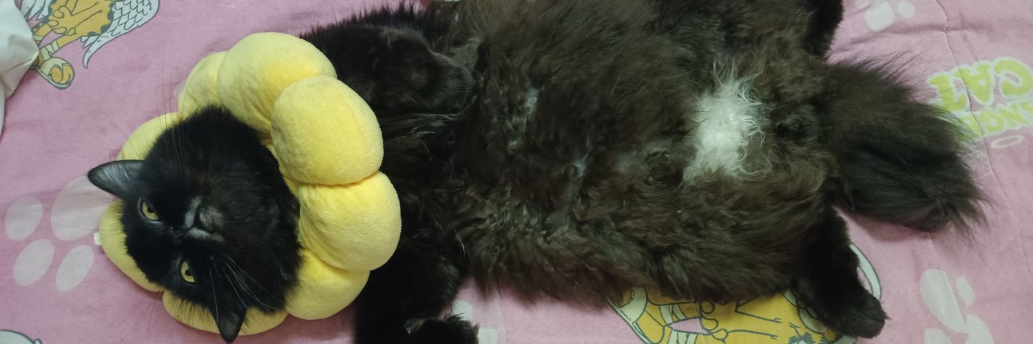 Snowingzz's profile banner image