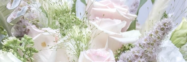 thelicates's profile banner image