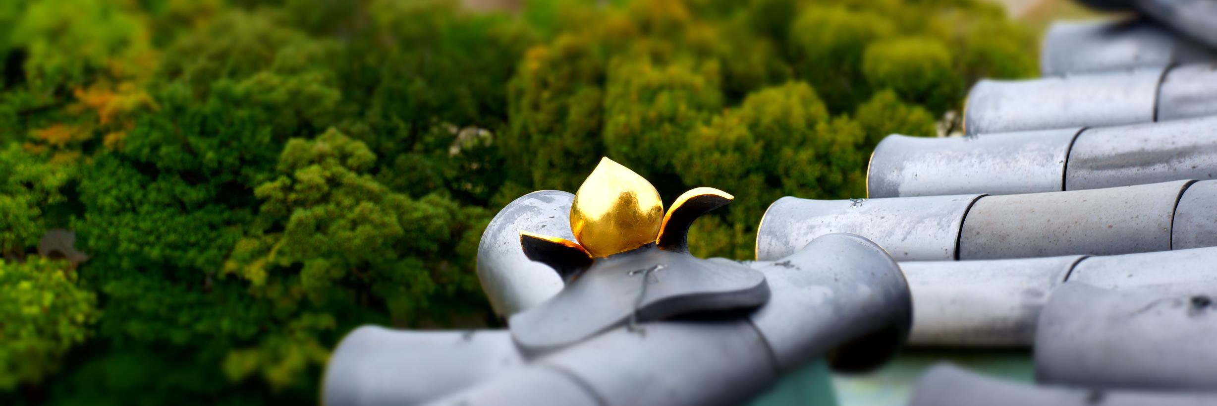 hakuto_III's profile banner image