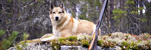 TheRevivaler Profile Banner