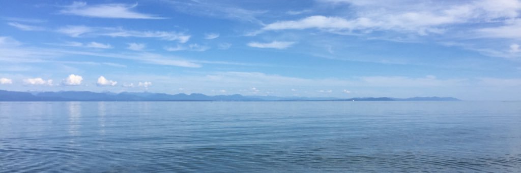 mgthorp's profile banner image