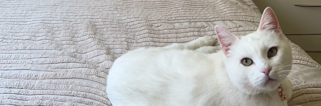 gothamcat_'s profile banner image