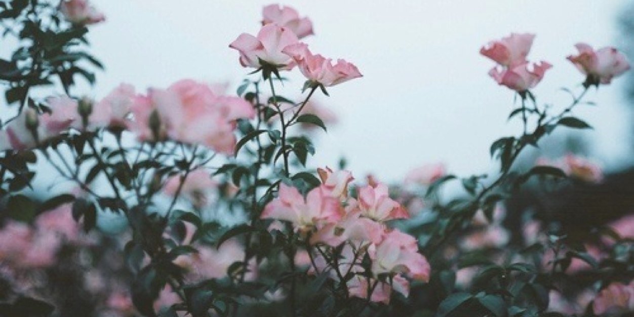 oh_okaywhatever's profile banner image