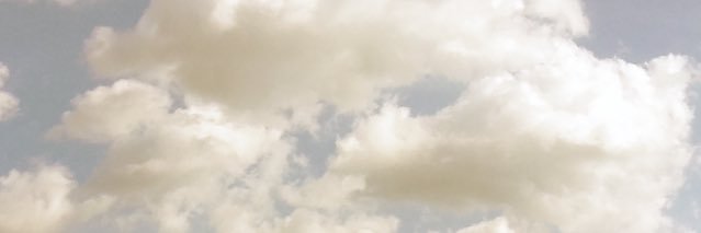 flowychloe's profile banner image