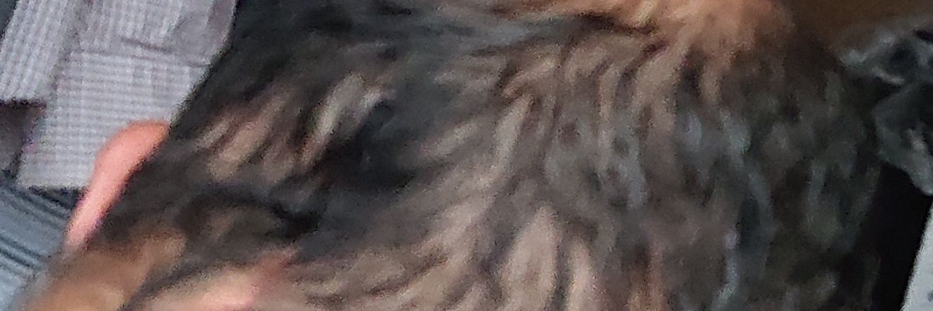 eiryu31's profile banner image