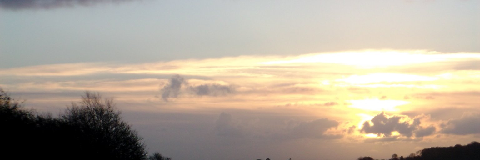 lzlzlzu's profile banner image