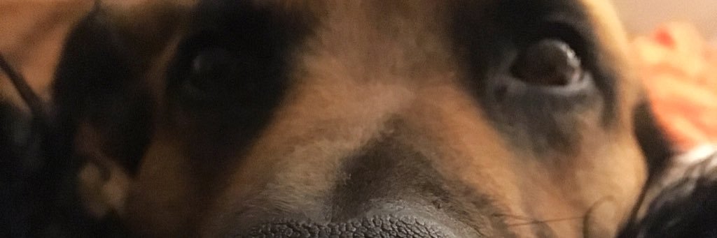 Wilde_One's profile banner image