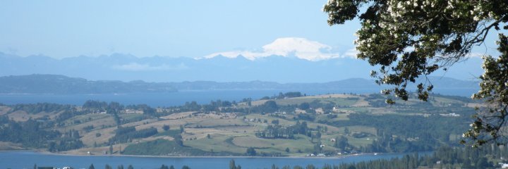 ArqJF's profile banner image