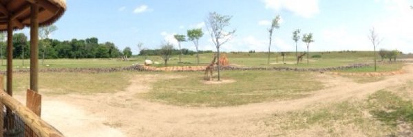 _anicoleh_ Profile Banner